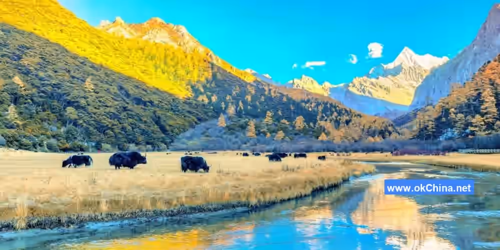 Daocheng Yading Tourist Area