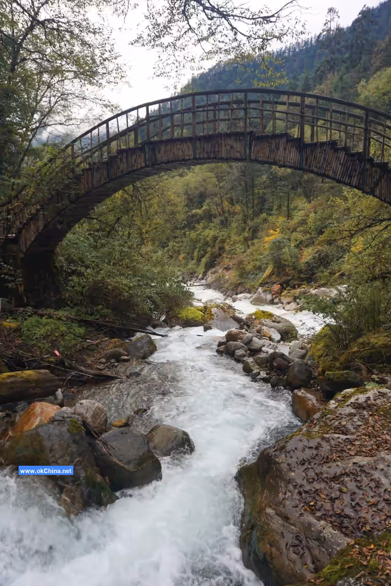 Hailuogou Scenic Area