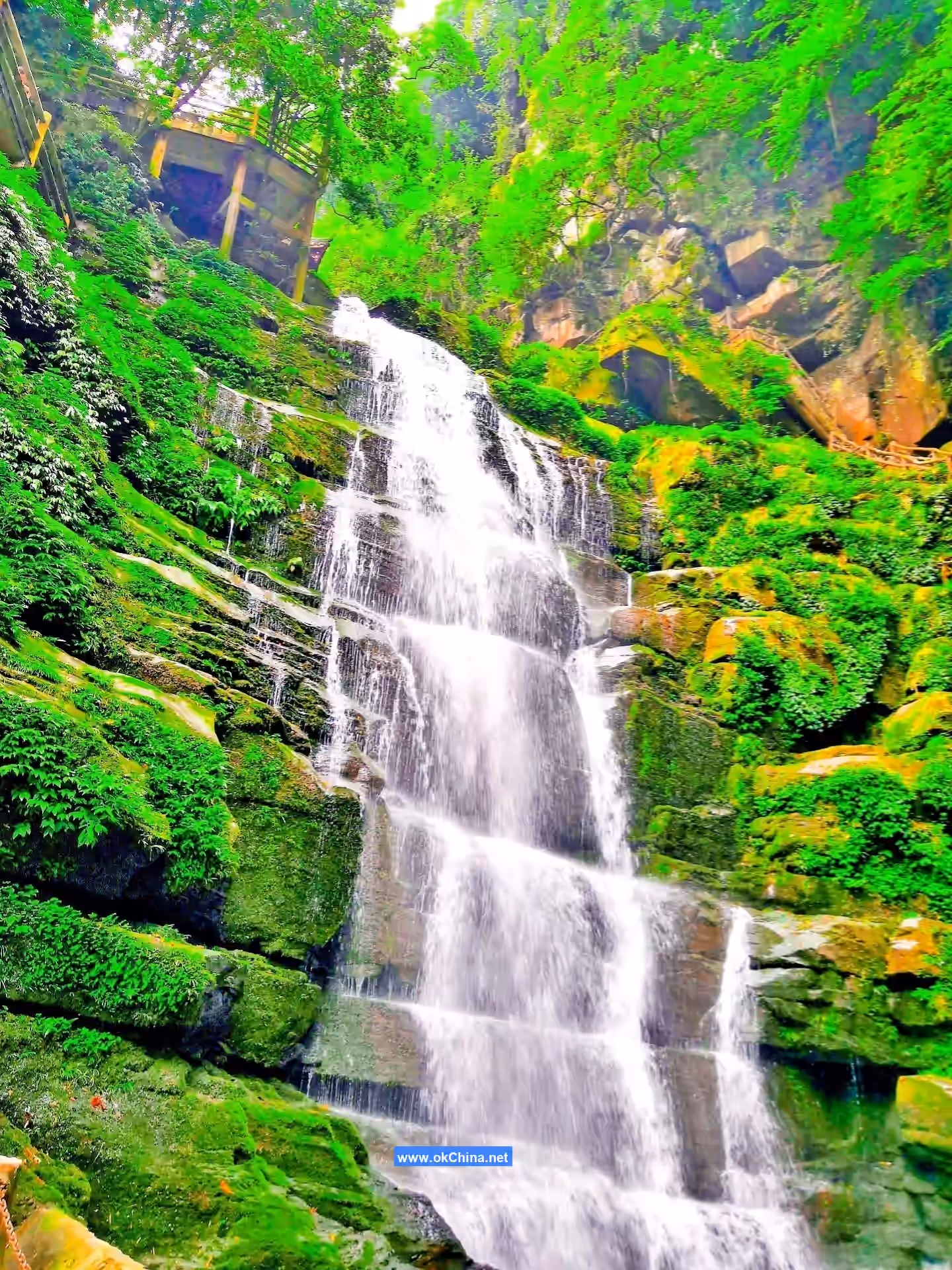 Bifengxia Tourist Area