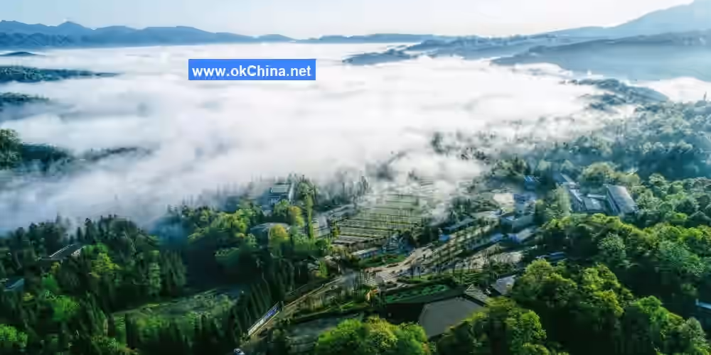 Bifengxia Tourist Area