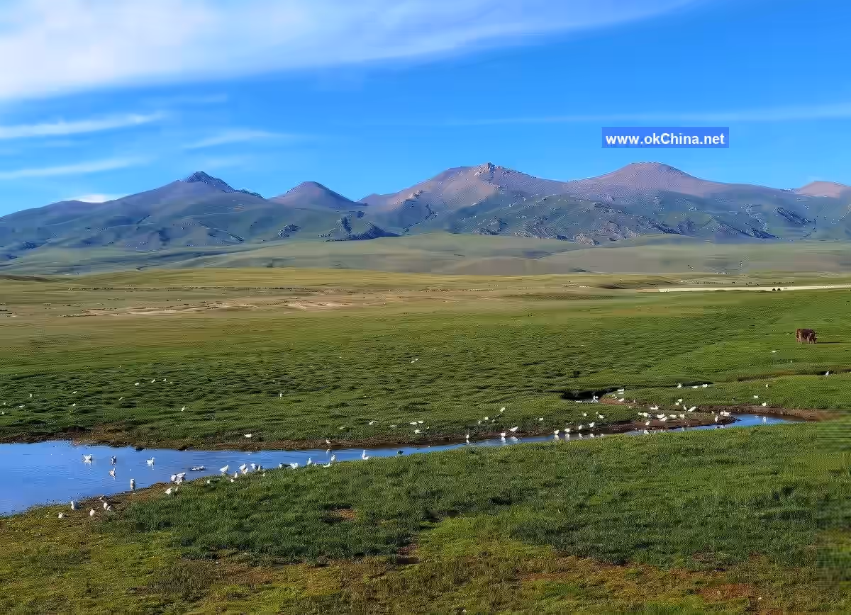 Bayanbulak Scenic Area