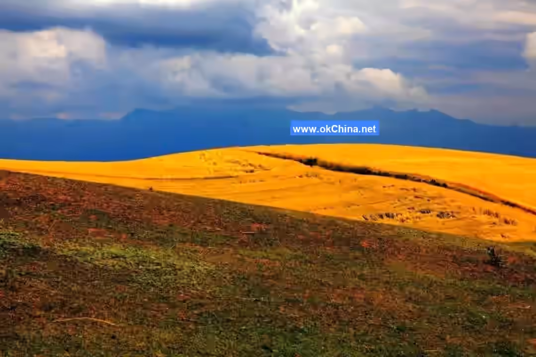 Jiangbulak Scenic Area
