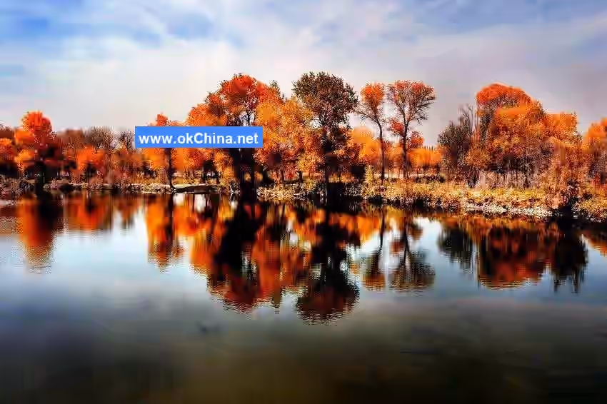 Zepu Populus Euphratica National Forest Park