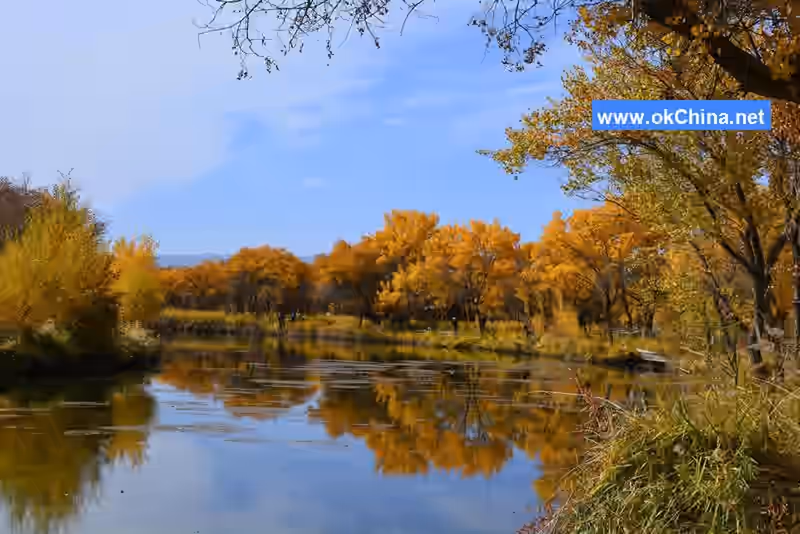 Zepu Populus Euphratica National Forest Park