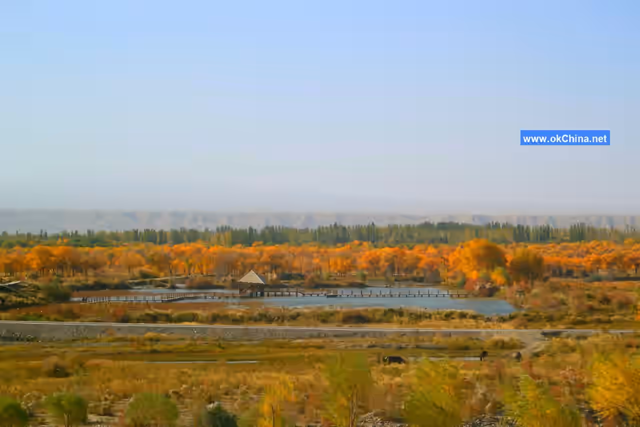Zepu Populus Euphratica National Forest Park