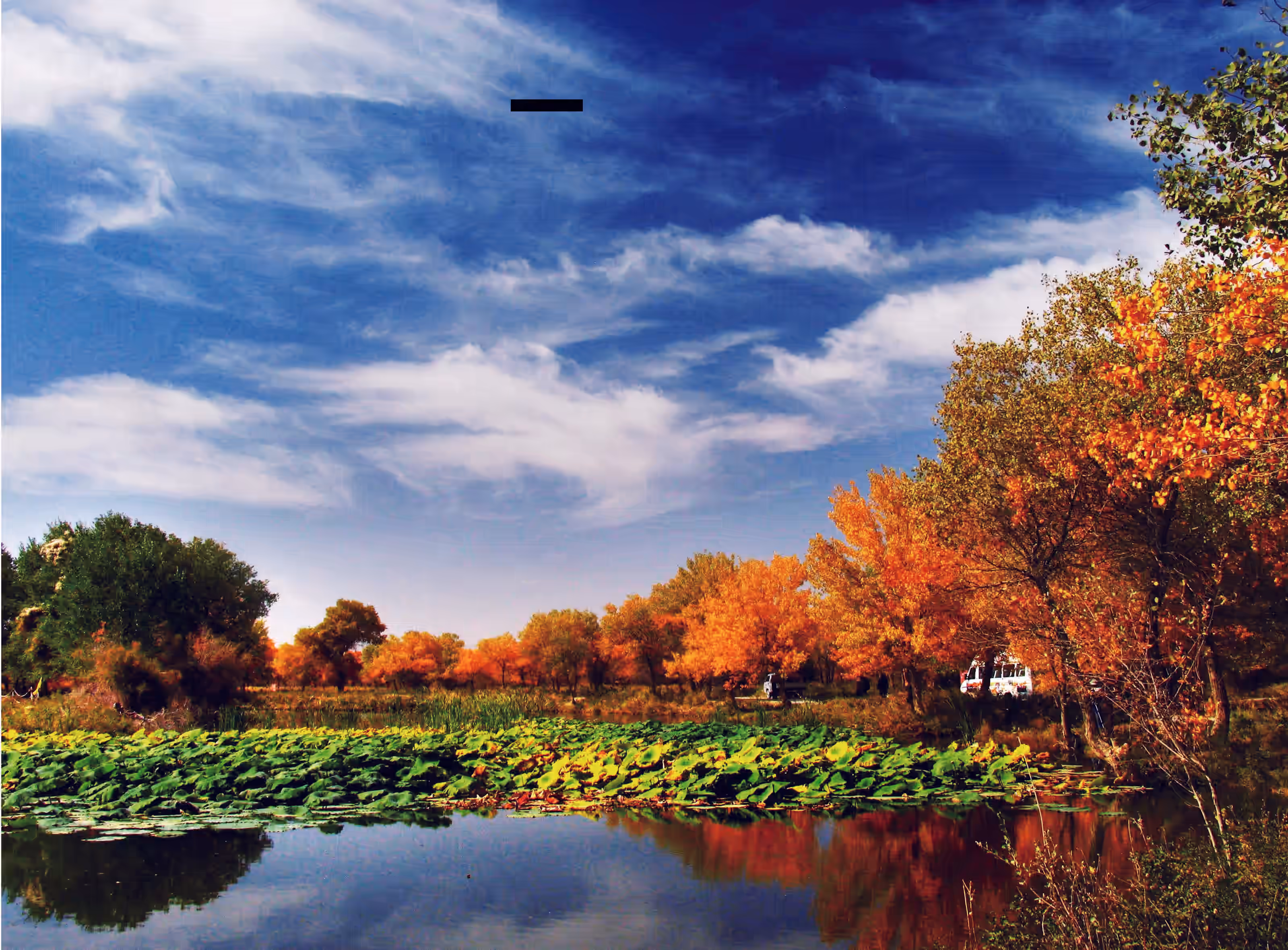 Zepu Populus Euphratica National Forest Park