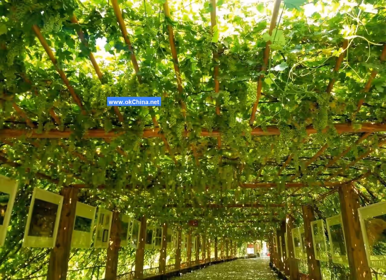 Grape Valley Scenic Area