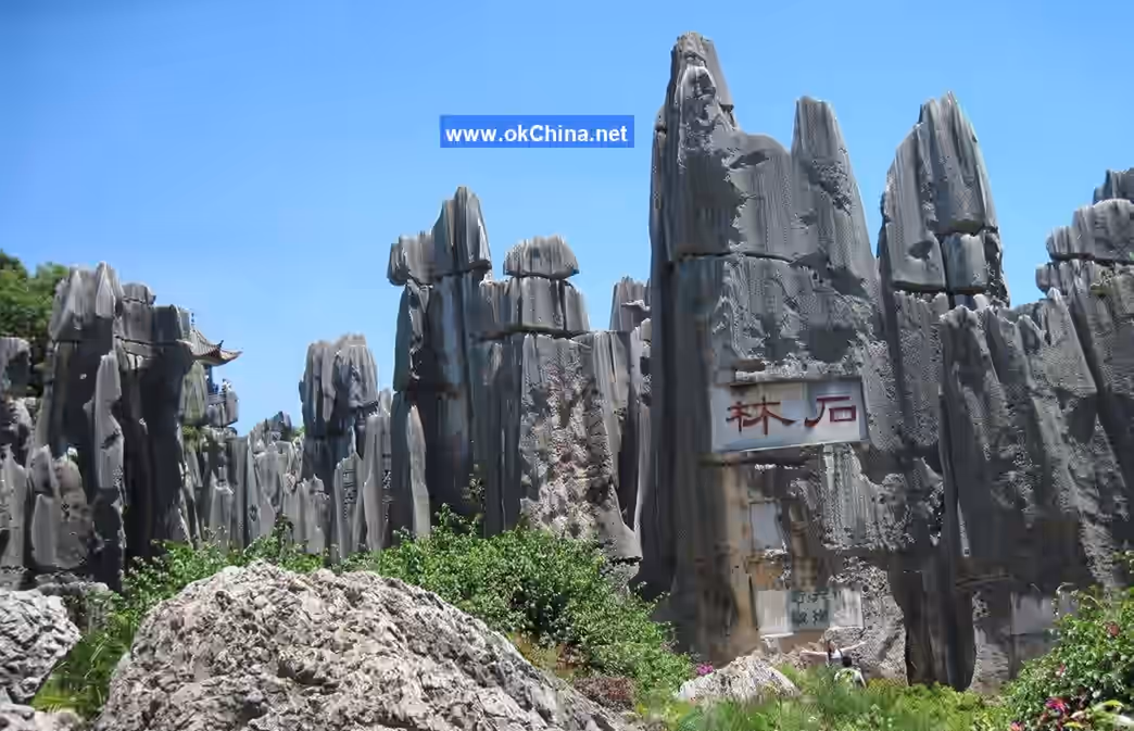 Stone Forest Scenic Area