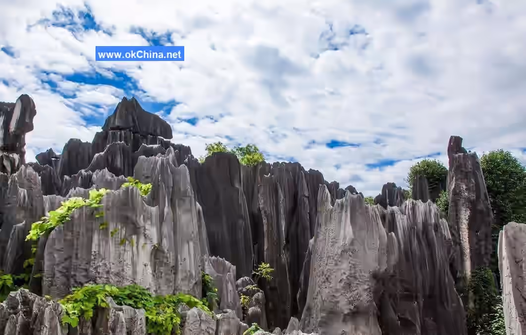 Stone Forest Scenic Area