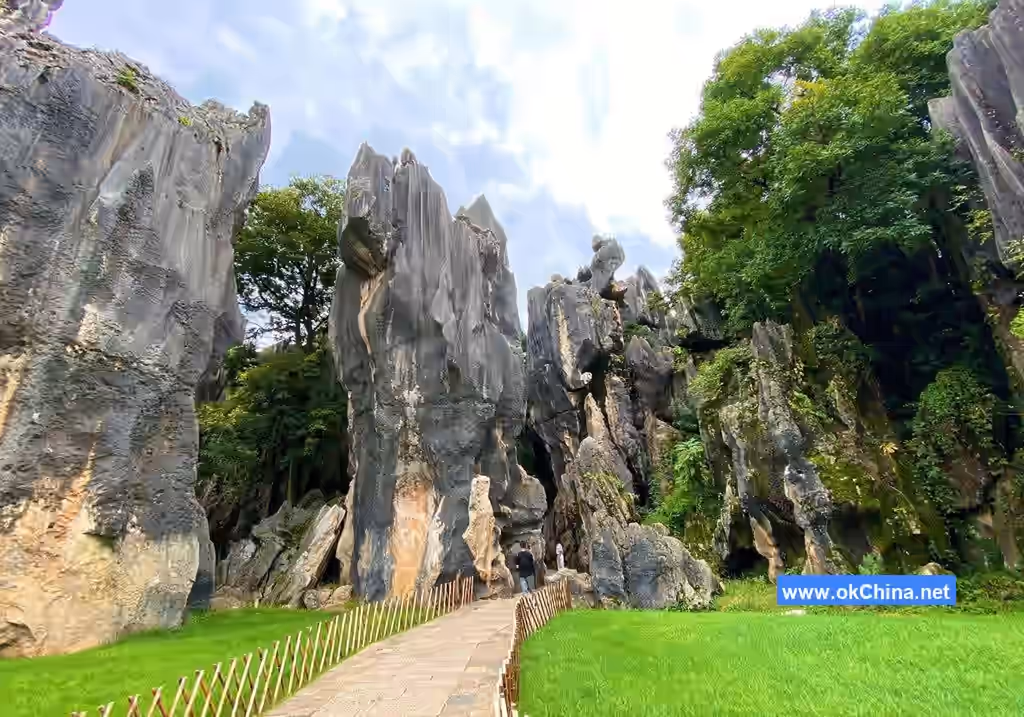 Stone Forest Scenic Area