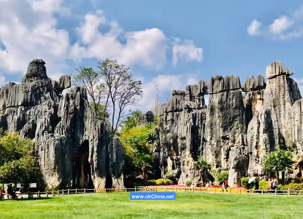 Stone Forest Scenic Area