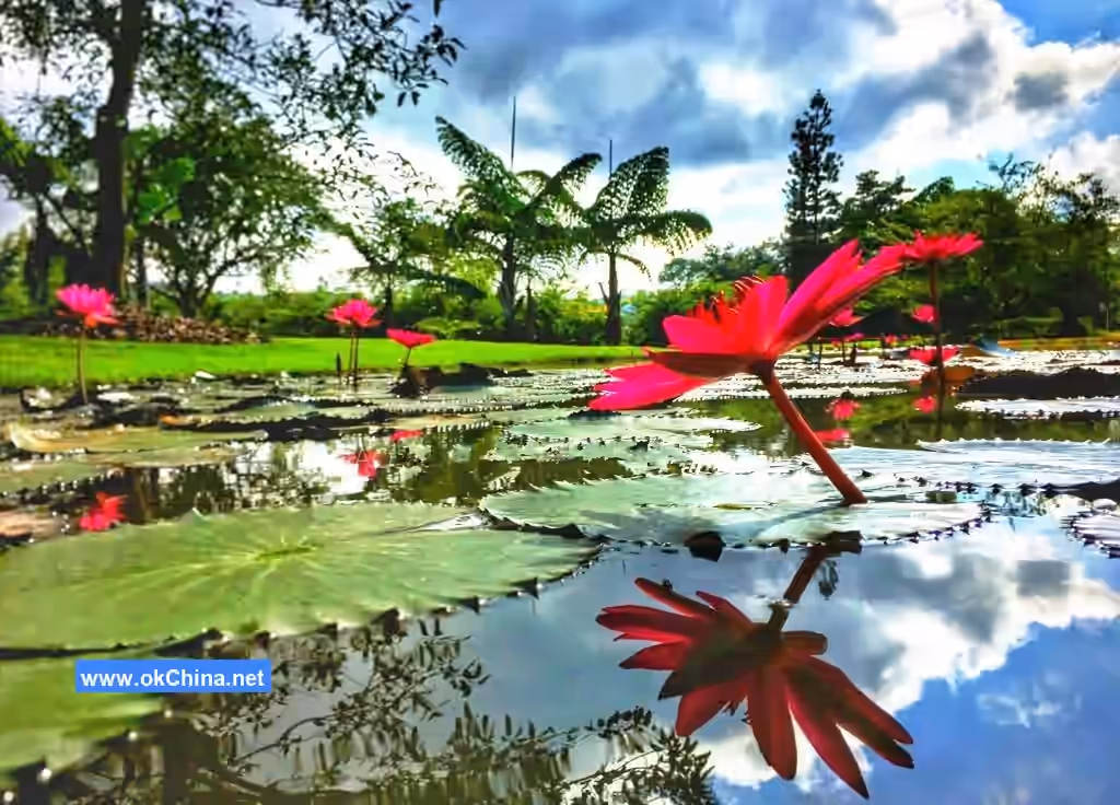 Xishuangbanna Tropical Botanical Garden