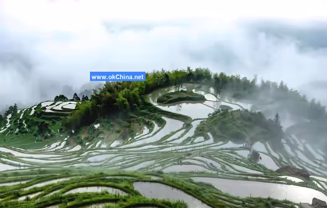 Yunhe Terraced Fields Scenic Area
