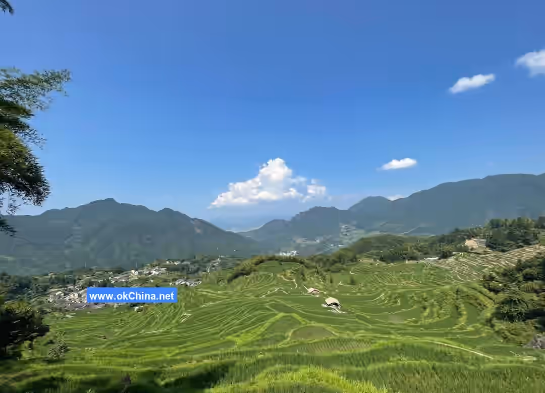 Yunhe Terraced Fields Scenic Area
