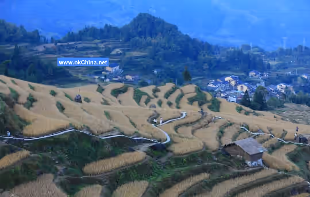 Yunhe Terraced Fields Scenic Area