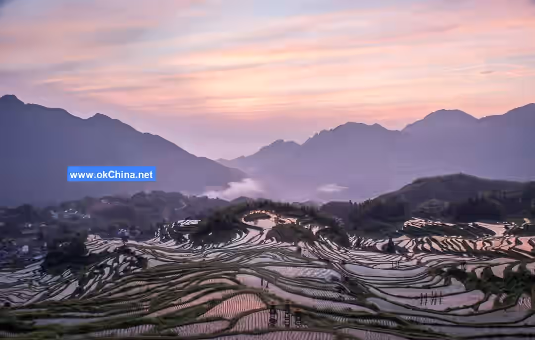 Yunhe Terraced Fields Scenic Area